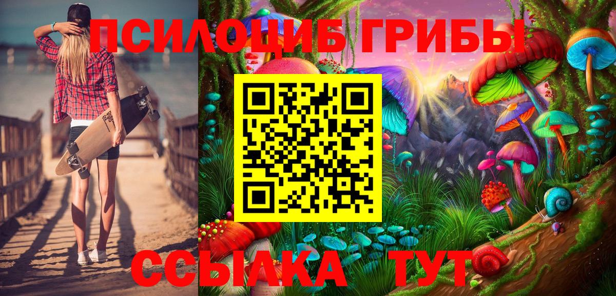 Бор  Галлюциногенные грибы MAGIC MUSHROOMS  Вход с VPN 