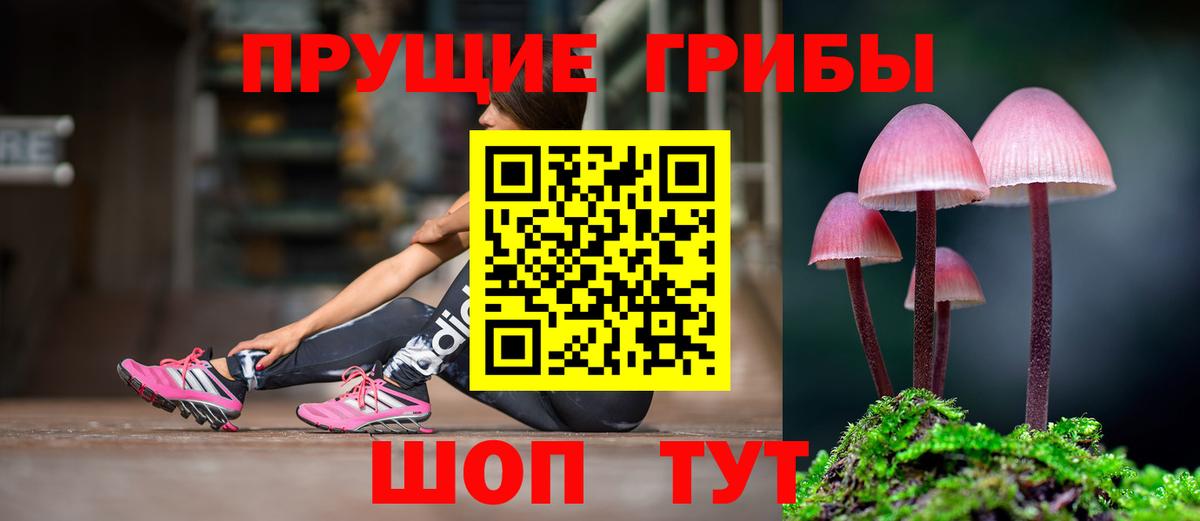Галлюциногенные грибы GOLDEN TEACHER Бор